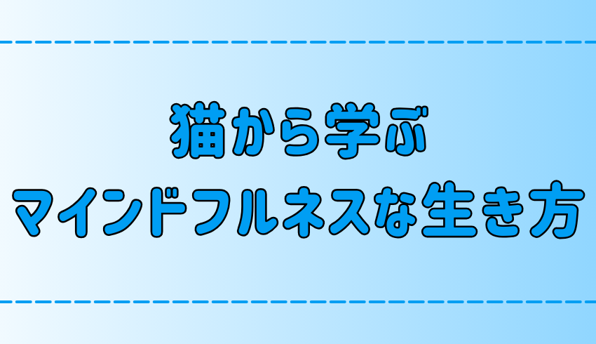 猫から学ぶマインドフルネスな生き方！ストレスフリーな人生を送る6つのポイント