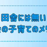 田舎・地方には無い！東京・都会で子育てする7つのメリット！【育児】