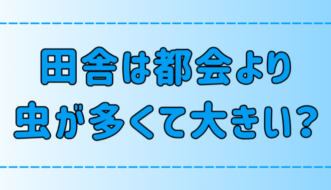 「田舎は都会より虫が多くて大きい」は本当か？【環境と生態系】