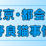 田舎より多い？東京・都会の野良猫事情！彼らはどうやって生活してる？