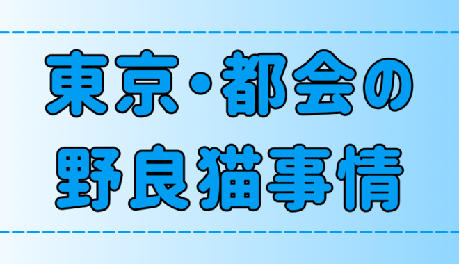 田舎より多い？東京・都会の野良猫事情！猫はどうやって生活してる？