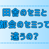 都会のセミと田舎のセミは違う？鳴き声を聞き分けるのは日本人だけ？