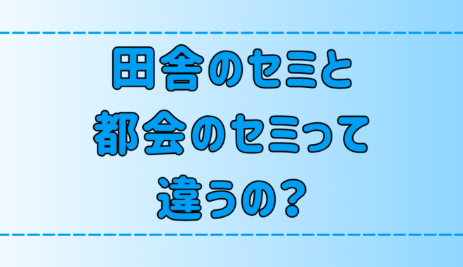 都会のセミと田舎のセミは違う？鳴き声を聞き分けるのは日本人だけ？