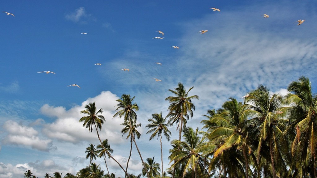 【雨と気温】スリランカの天気･気候の特徴と観光･旅行のベストシーズン